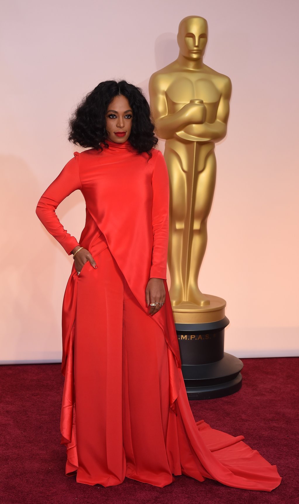 solange-knowles-oscars-red-carpet-2015